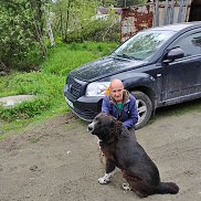 , 54 , -