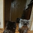 ���� �����, ������ - ��������� 25 ������� 2024 � ������ ���������� ���