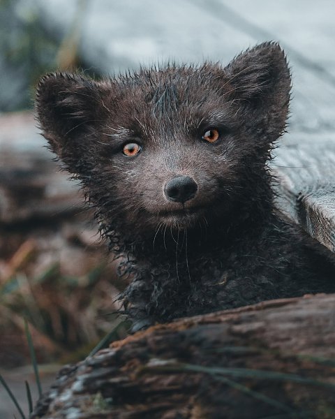  . ,    ,       ... - 7