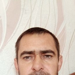 , 41 , 