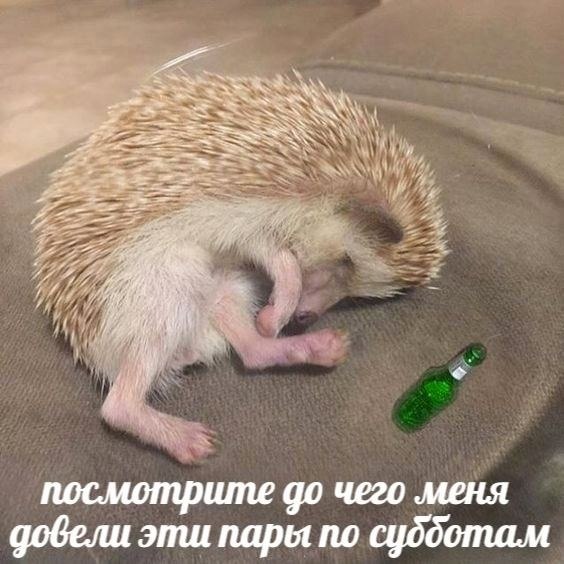    - 30  2024  14:31