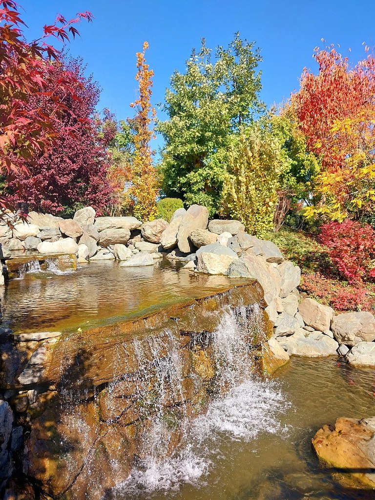 paca oce  oco ca  pacoape. - 9