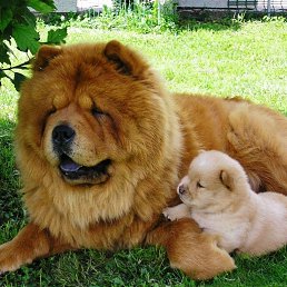 ���� �����, ������������, 59 ��� - ��������� 11 ����� 2024