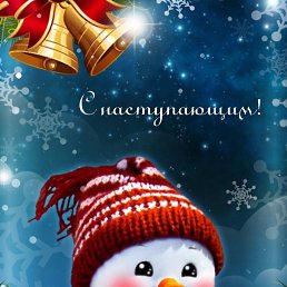 ���� Torri, ���������, 42 ���� - ��������� 1 ������ 2024