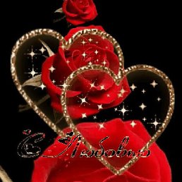 Ddd, ������, 51 ���