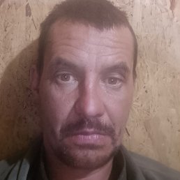 ����, �����������, 43 ����