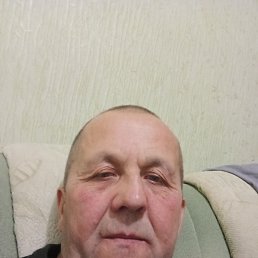 , 53 , 