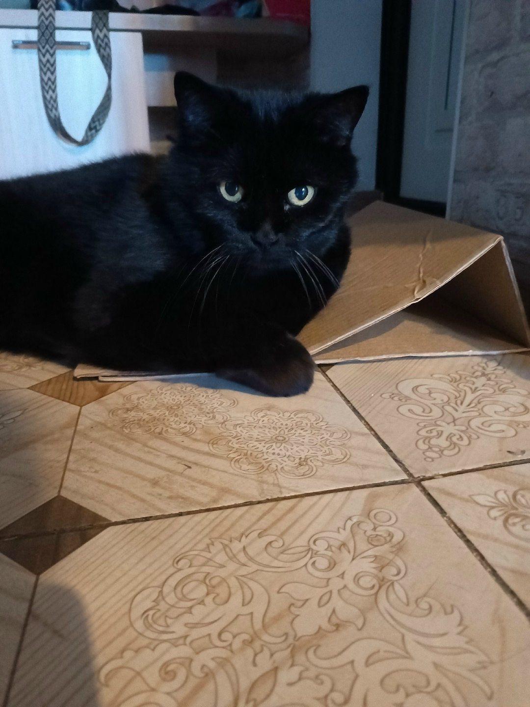 Andrei - 19  2025  23:13