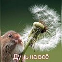  Luchik,  -  6  2025    