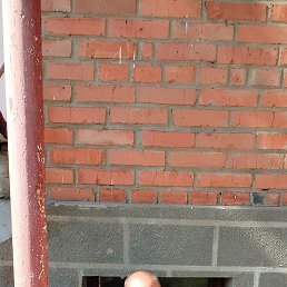 ���� ���������, ������, 57 ��� - ��������� 18 ��� 2024