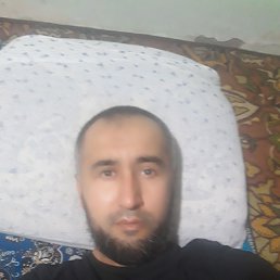 , 41, 