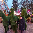  , -, 61  -  27  2025    