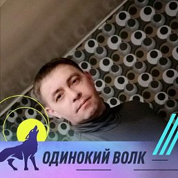 , 41, 