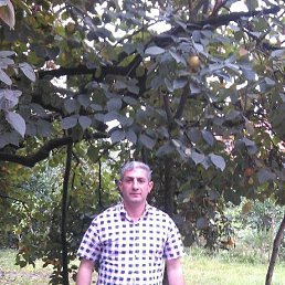 ������, 48 ���, ������