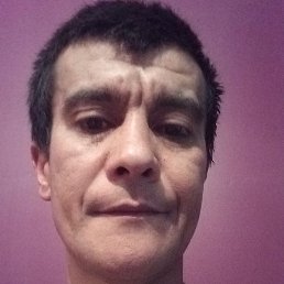 �����, �����-���������, 40 ���