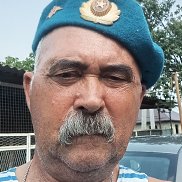 ���� �����������, 65 ���, ���������