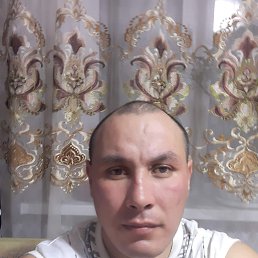 , 37, 