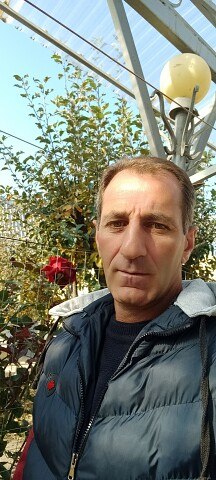 ���� ����, ������, 53 ���� - ��������� 17 ������ 2024