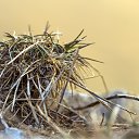 ���� ������, �������, 54 ���� - ��������� 20 ������ 2025 � ������ �������