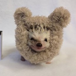 ������ ����, ������������, 39 ���