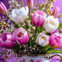 ���������, �����, 48 ���