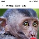 ���� ���, ������, 55 ��� - ��������� 20 ������ 2023 � ������ ���� ����������