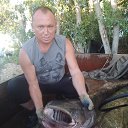 ���� �����, ��������, 51 ��� - ��������� 8 ������� 2025