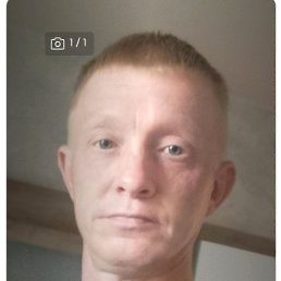 , 41 , 