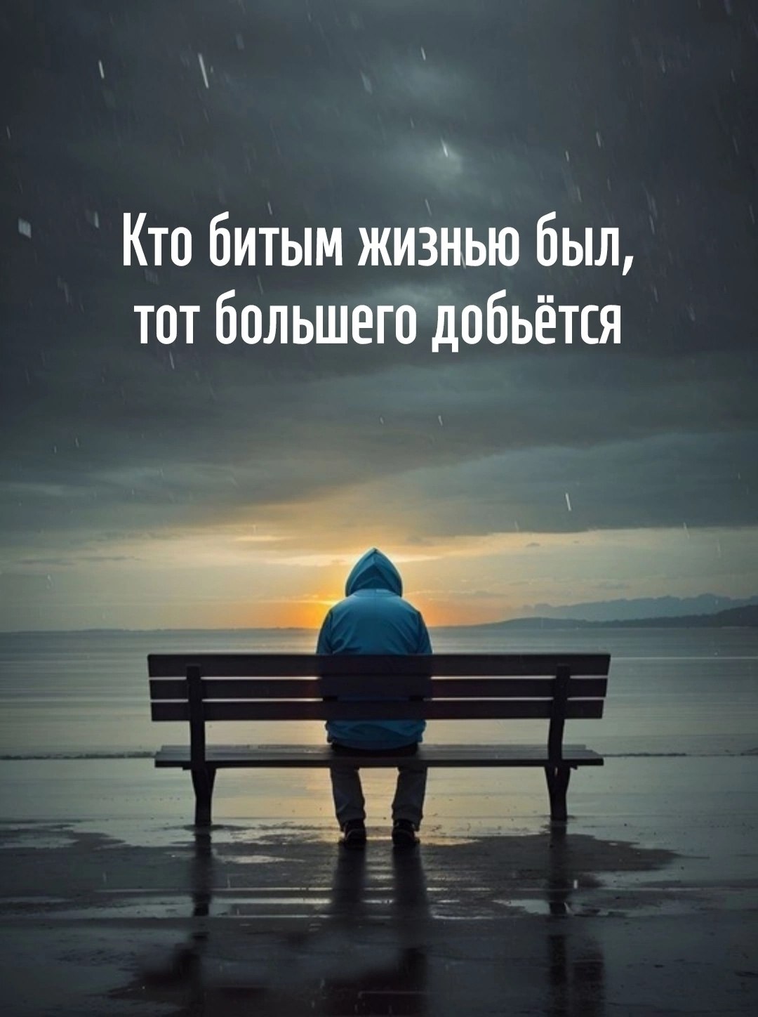  - 20  2025  06:46