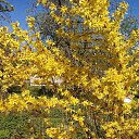 �������� ��������