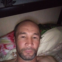 , 41, 