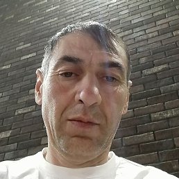 ����, ���������, 44 ����