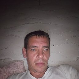  , 37, 