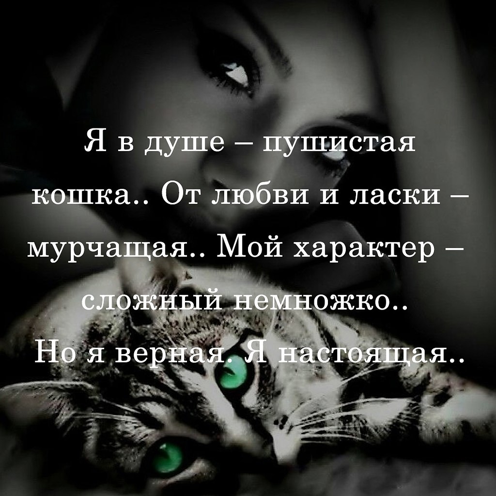   - 20  2025  19:00