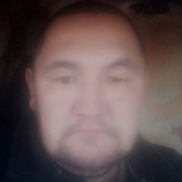 ������, ������, 37 ���