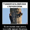 ���� ���������, ������ - ��������� 14 ������� 2026 � ������ �������