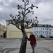 Anna, 40 ���, �����