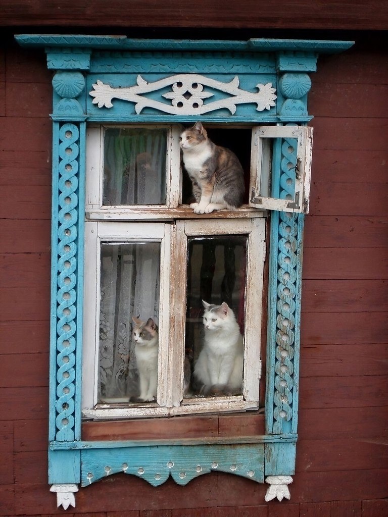    - 3