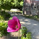  , , 50  -  19  2024   _2024