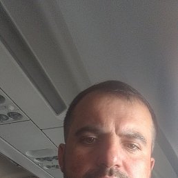 , 36, 