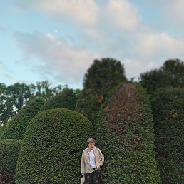  , 55, 