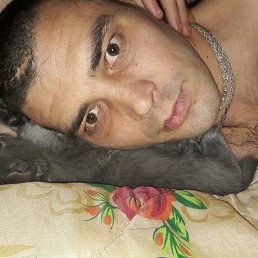 , 41, 