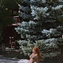 ���� �������, ����, 37 ��� - ��������� 12 �������� 2026