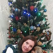 ����, 41 ���, ������