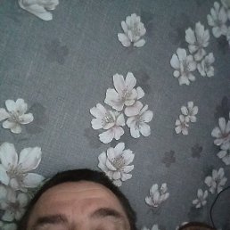 ����, ��������, 52 ����