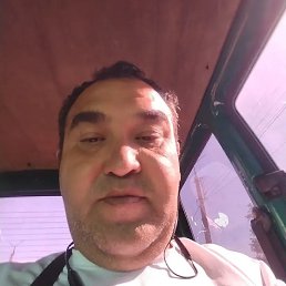 , 48, 