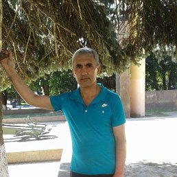 , 54, 