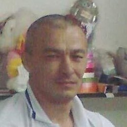 ��������, ������, 49 ���