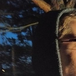 ����, �����, 33 ����