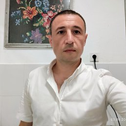 , 41, 